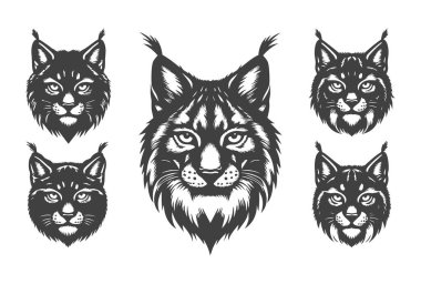 Vahşi Yaşam Resimleri için Lynx Profil Vektörü Tasarımı