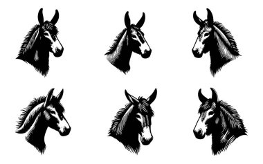 Logo Tasarımı ve Markalaşması için Katır Başlığı Tasarımı