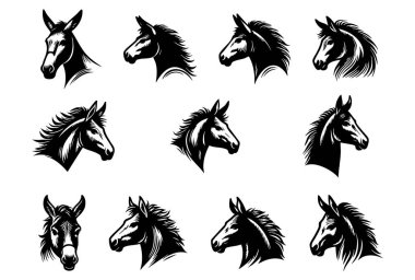 Vektör Sanat Biçiminde Basit Katır Başı Tasarımı