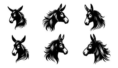 Temiz Vektör Biçiminde Eşek ve Katır Başı Silueti