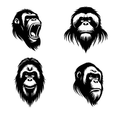 Beyaz Arkaplanda Orangutan Baş Vektör Silueti