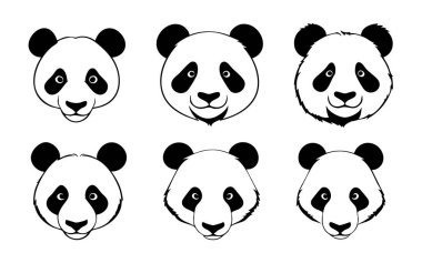 Vektör panda suratı, panda, panda, ayı, panda, panda, panda