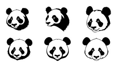panda vektör kümesi