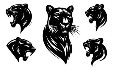 Panter Baş Vektör Silueti Beyaz Arkaplanda