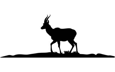 Beyaz Arkaplan 'da Pronghorn Vektör Silueti, Vahşi Yaşam Çizimleri İçin Hızlı Pronghorn Silueti, Doğa Projeleri için Antilop Baş Vektörü Silueti