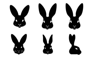 Bir grup siyah tavşan. Beyaz arka planda siyah tavşan silueti