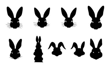 Tavşan Kulağı kümesi