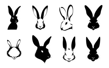 Siyah beyaz tavşan seti.