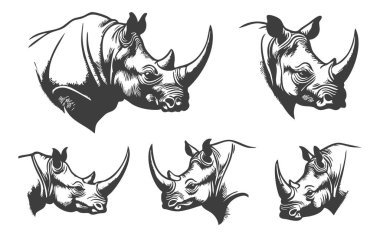 Gergedan Vektör Silueti Beyaz Arkaplanda