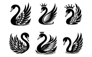 Beyaz Arkaplanda Kuğu Vektörü Silueti