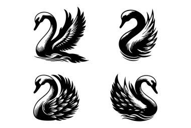 Beyaz Arkaplanda Kuğu Vektörü Silueti