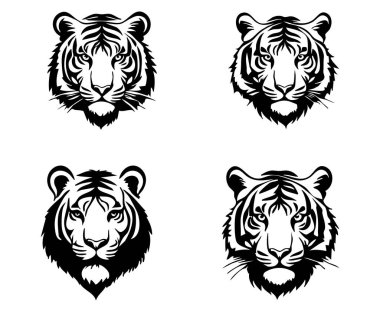 Kaplan vektörü ayarlandı