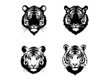 Kaplan kafasının vektör kümesi. Kaplan, kaplan ve kaplan. Kaplan başı, kaplan, kaplan.