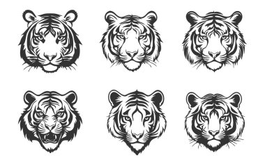 Kaplanlar, kaplanlar, kaplanlar, kaplanlar, kaplanlar, kaplanlar. vektör illüstrasyonu