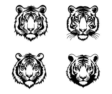 Kaplan başı vektörü ayarlandı