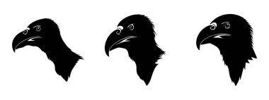 Beyaz Arkaplanda Akbaba Vektörü Silueti, Doğa Sanatı İçin Leşçi Akbaba Silueti