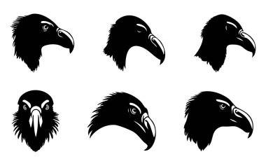 Beyaz Arkaplanda Akbaba Vektörü Silueti, Doğa Sanatı İçin Leşçi Akbaba Silueti