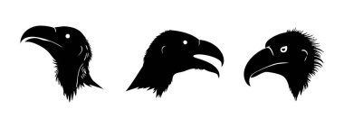 Beyaz Arkaplanda Akbaba Vektörü Silueti, Doğa Sanatı İçin Leşçi Akbaba Silueti