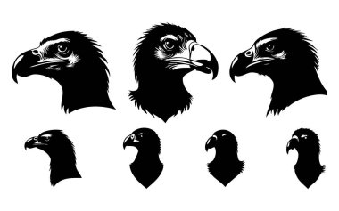 Beyaz Arkaplanda Akbaba Vektörü Silueti, Doğa Sanatı İçin Leşçi Akbaba Silueti