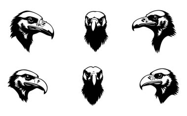 Beyaz Arkaplanda Akbaba Vektörü Silueti, Doğa Sanatı İçin Leşçi Akbaba Silueti