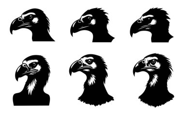 Beyaz Arkaplanda Akbaba Vektörü Silueti, Doğa Sanatı İçin Leşçi Akbaba Silueti