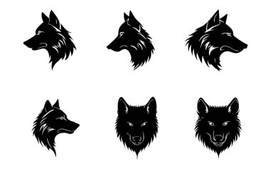 Siyah Kurt baş vektör çizimi.