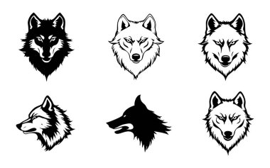 Kurt kafasının vektör kümesi