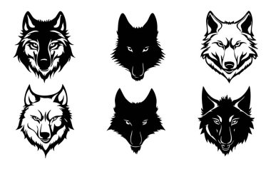 Bir grup siyah köpek.