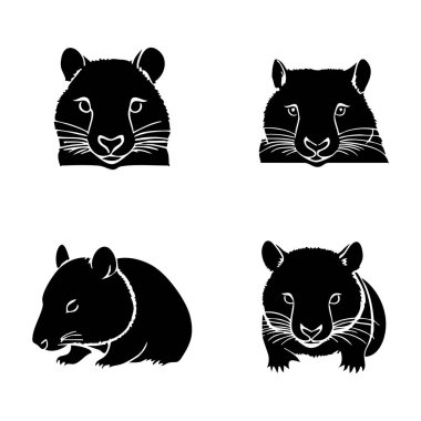Beyaz Arkaplanda Wombat Vektör Silueti