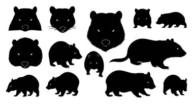 Beyaz Arkaplanda Wombat Vektör Silueti