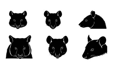 Beyaz Arkaplanda Wombat Vektör Silueti