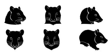 Beyaz Arkaplanda Wombat Vektör Silueti