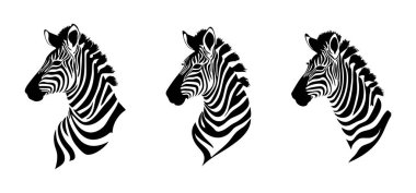 Zebra simgesi vektör çizimi, zebra hayvanı, hayvan vektör çizimi.