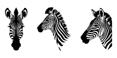 Zebra simgesi vektör çizimi, zebra hayvanı, hayvan vektör çizimi.