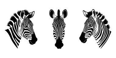 Zebra simgesi vektör çizimi, zebra hayvanı, hayvan vektör çizimi.