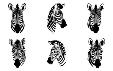 Zebra simgesi vektör çizimi, zebra hayvanı, hayvan vektör çizimi.