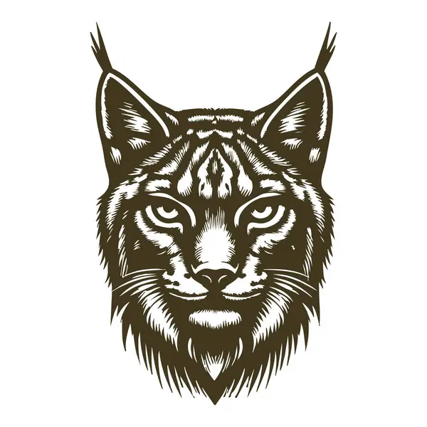 Beyaz Arkaplanda Luchs Siluet Yüz Vektörü İllüstrasyonu