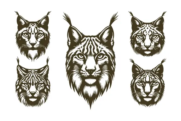 Vektör Biçiminde Sanatsal Vaşak Suratı Silueti