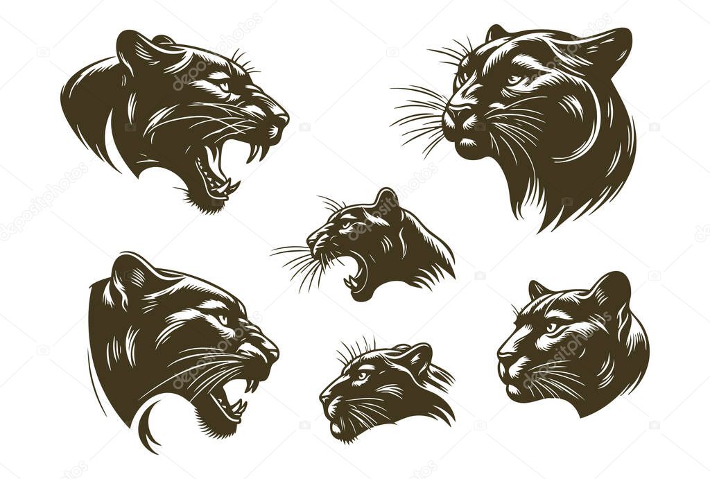 Panther Icon Vector for Wildlife Illustrations