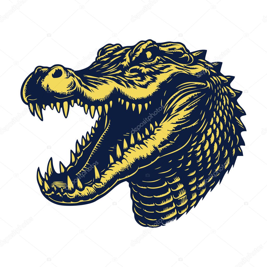 Angry Crocodile Style Alligator Head Sketch