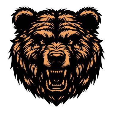 Yırtıcı Ayı Kafası Çizimi