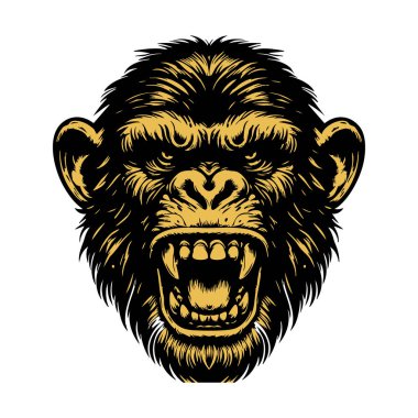 Tek Krom Kızgın Şempanze Başı İzole Edildi