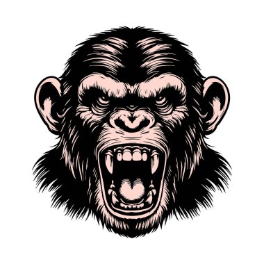 Saldırgan Şempanze Başı ve Vahşi İfadesi