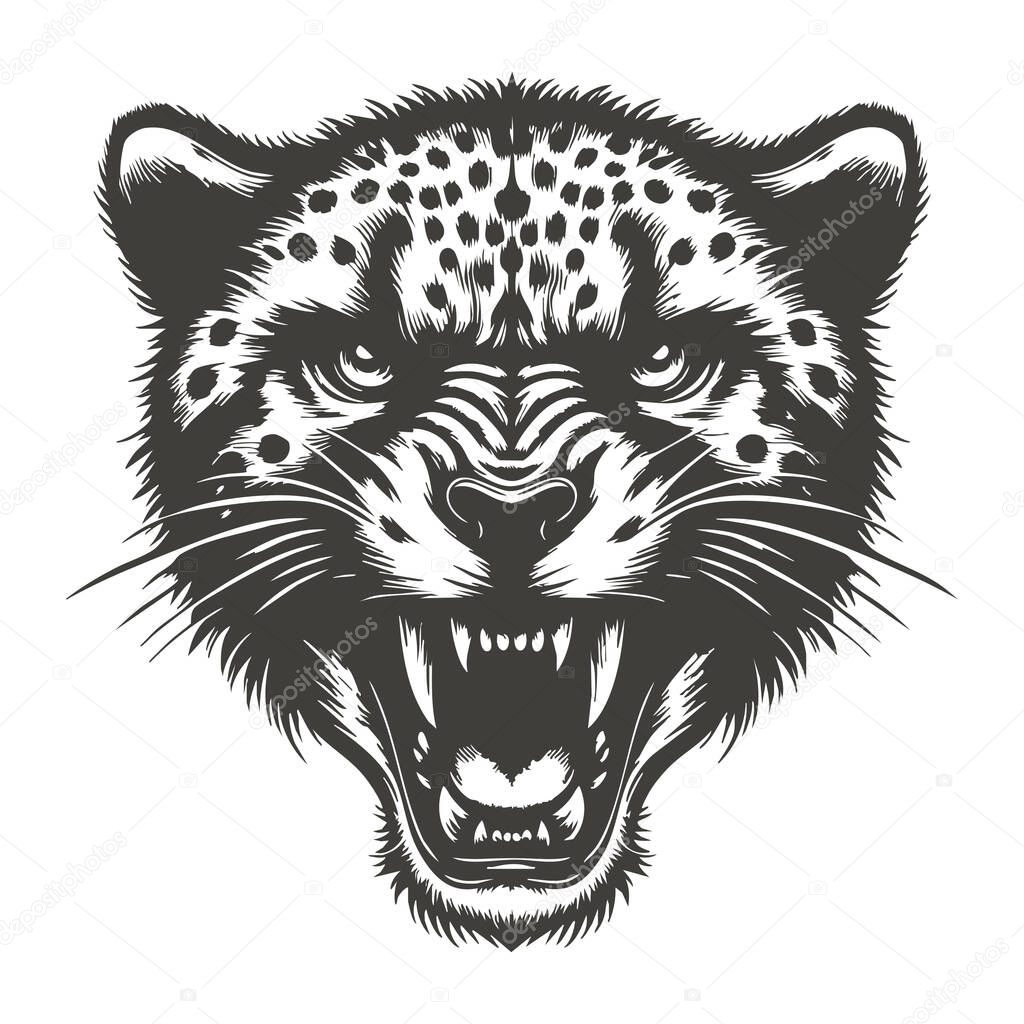Furious Cheetah Face Graphic Isolated