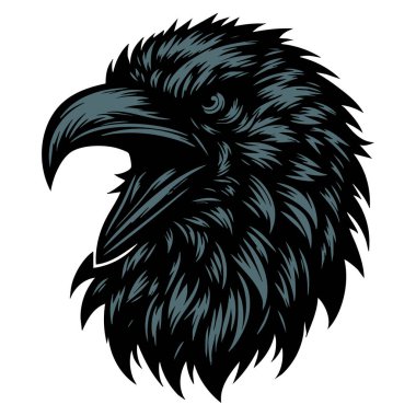 Sert İfadeli Saldırgan Karga Başı