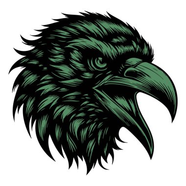 Beyaz Arkaplanda Vahşi Karga Baş ResimleriName