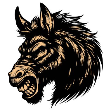 Beyaz Arkaplan Üzerine Vahşi Eşek Kafa Resimleri