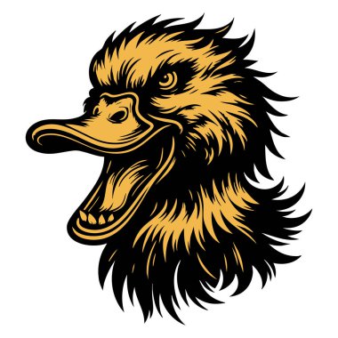 Yoğun bakışlı Vahşi Ördek Suratı