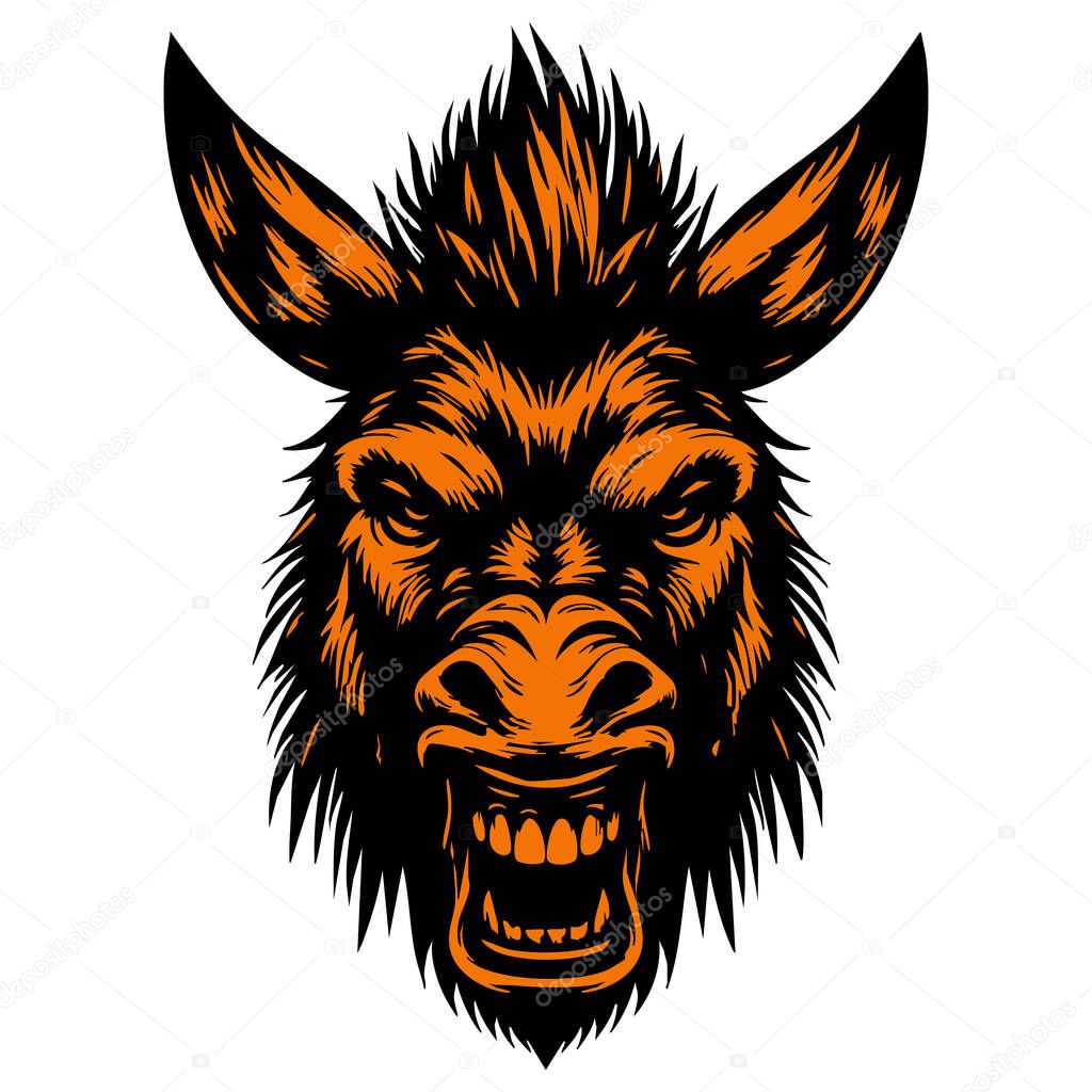 Wild Donkey Face with Angry Look