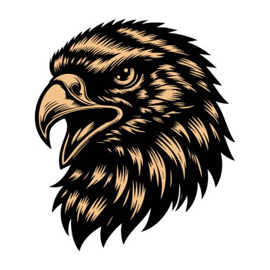 Saldırgan İfadeyle Şahin Başı Çizimi